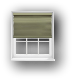 Automated Shades